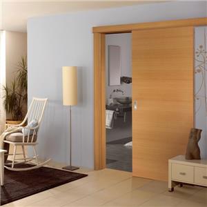 Frameless Wood Hanging Door For Living Room