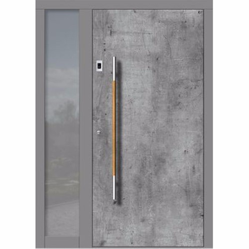Drak grey Metal Stainless Steel Security Entry Door