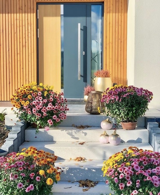 Standard Designs Security Steel Pivot Door Nepal with Glass Windows